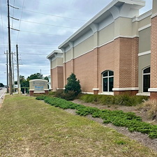 -Reclaim-Your-Yard-with-a-Major-Cleanup-from-Zion-Landscaping-Services 1