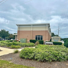 -Reclaim-Your-Yard-with-a-Major-Cleanup-from-Zion-Landscaping-Services 2