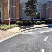 -Reclaim-Your-Yard-with-a-Major-Cleanup-from-Zion-Landscaping-Services 3