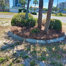-Revitalize-Your-Landscape-with-Fresh-Pine-Straw 0