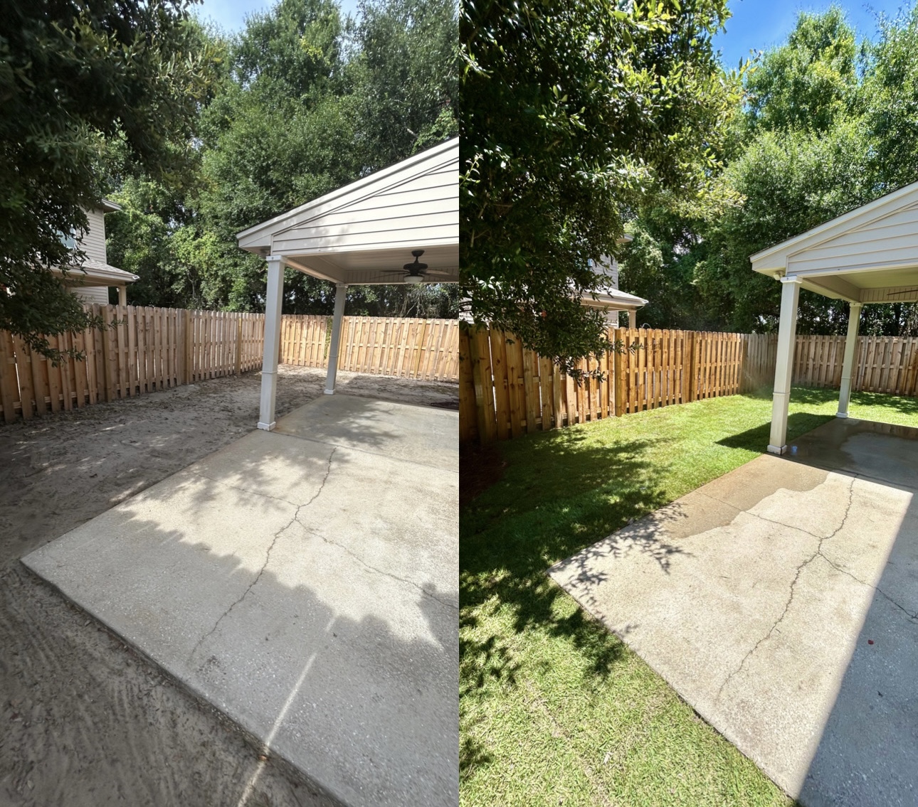 Instantly Beautiful Lawn: Professional Sod Installation