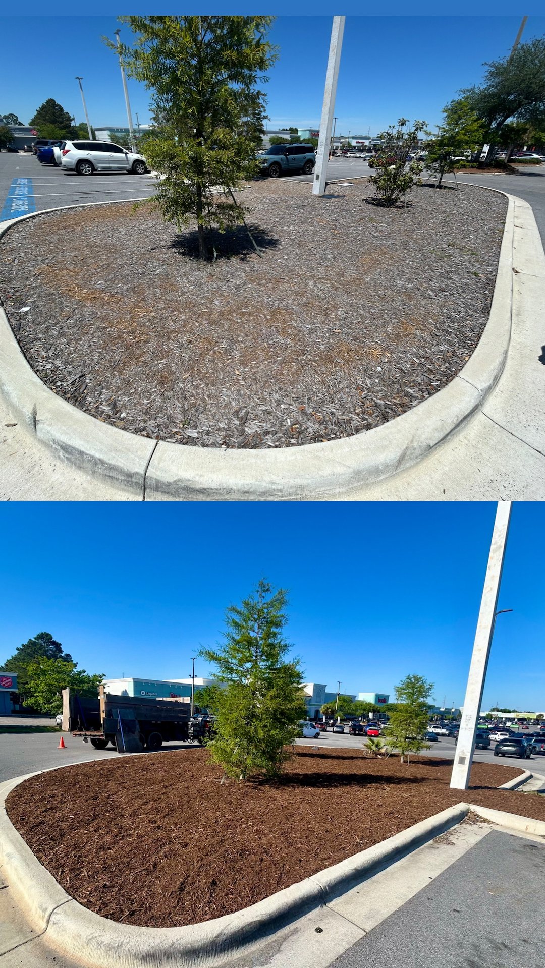 Professional Mulch Installation – Fast, Clean, & Affordable.