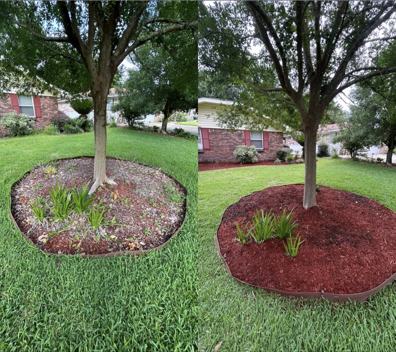 Refresh Your Landscape with Professional Mulch Installation!- Shalimar FL