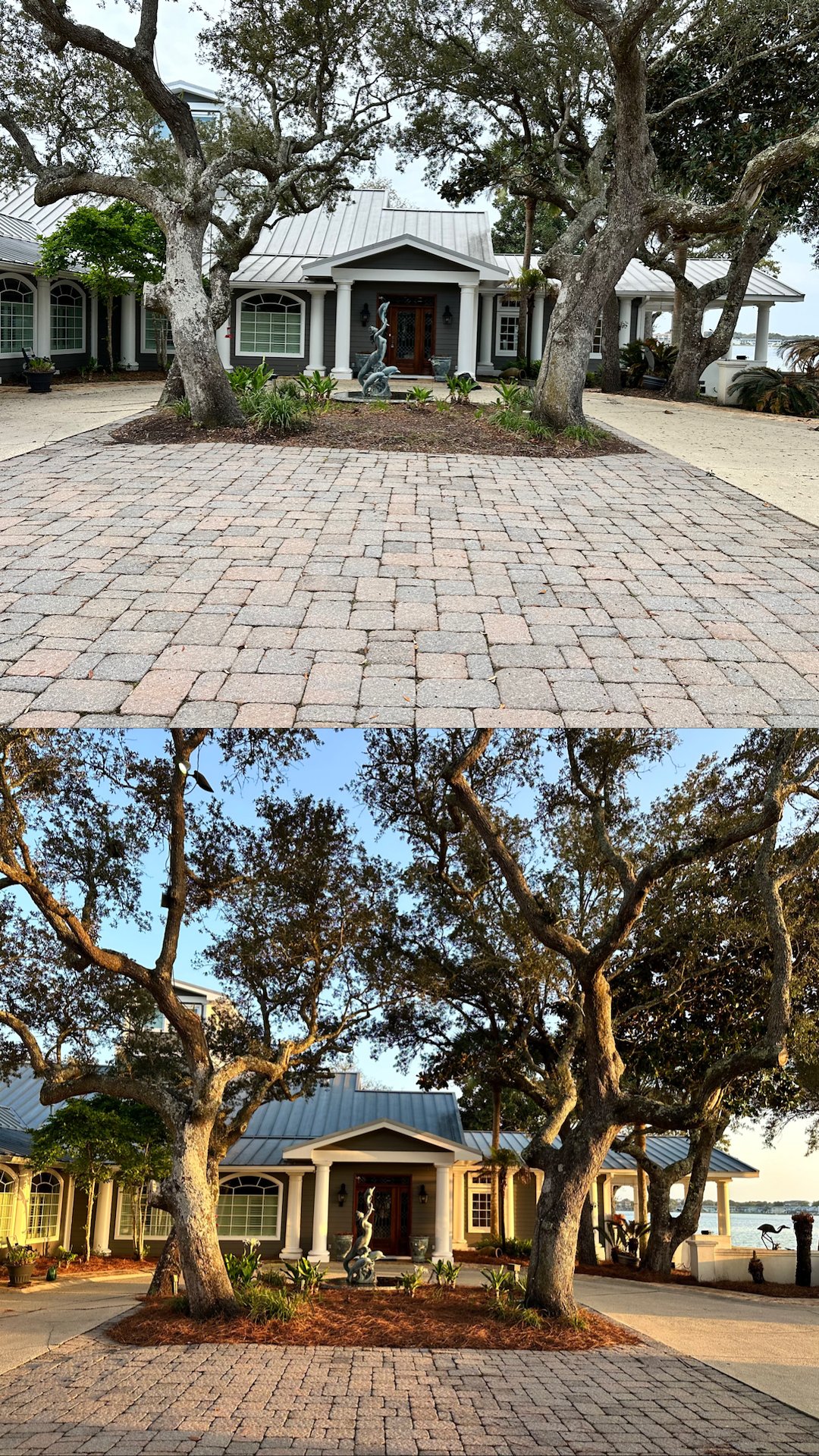 Revitalize Your Landscape: Major Cleanup & Pinestraw Perfection! 🌲✨
